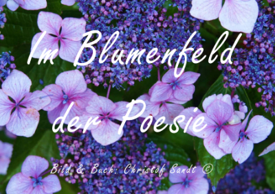 Im Blumenfeld der Poesie 4.6 - Der Garten (Titelseite)